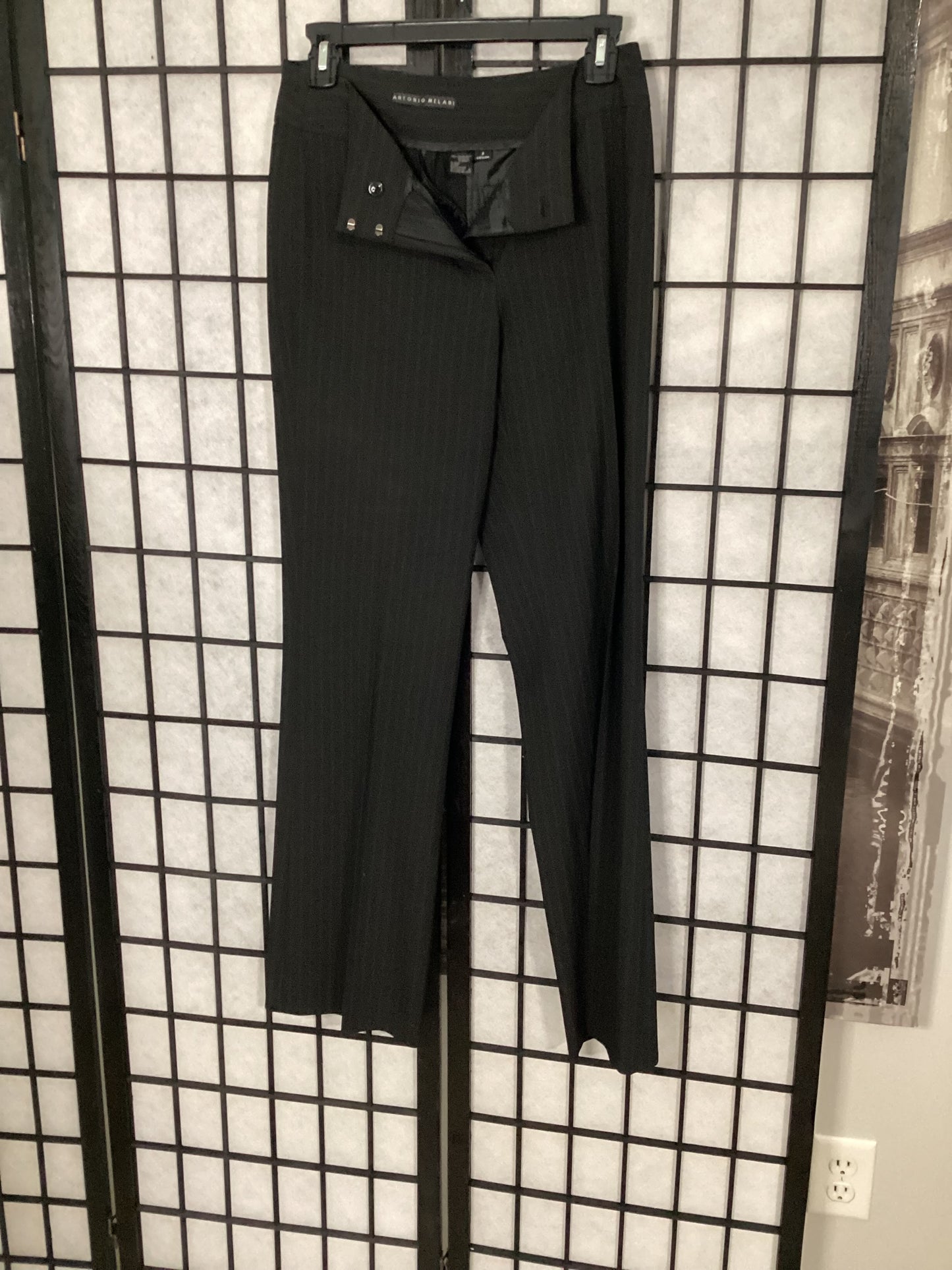 Antonio Melani Striped Pants