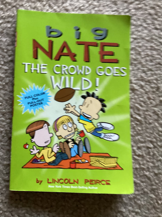 Big Nate Books