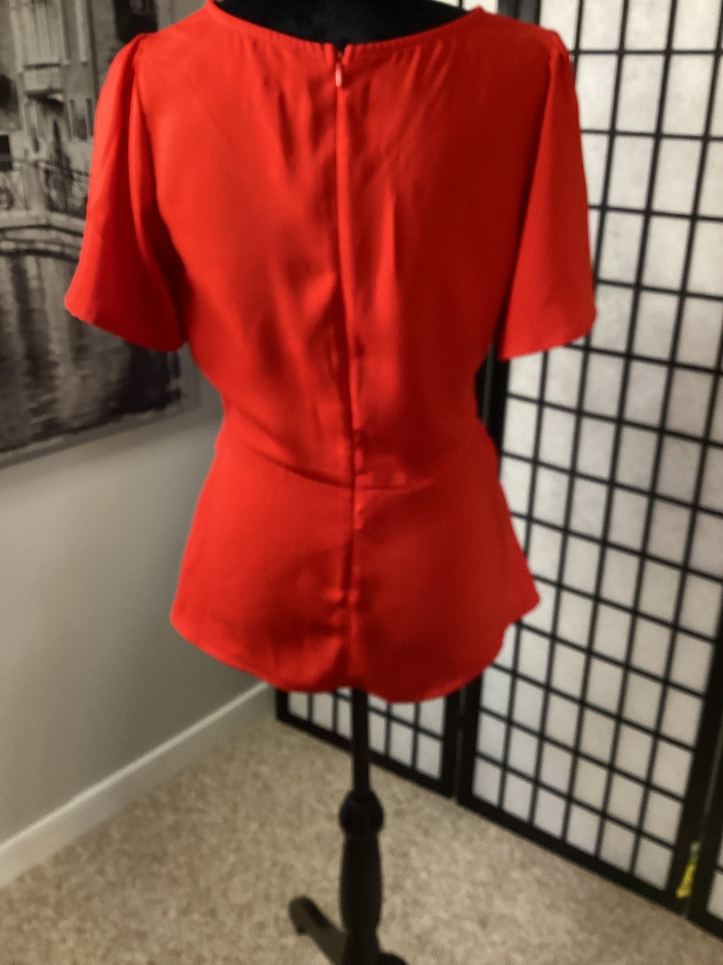 Red Blouse